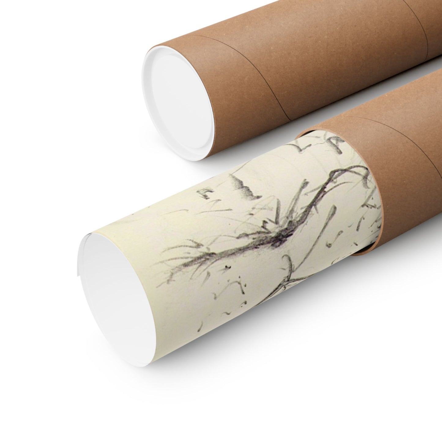 Flowing Lion Sketch Matte Poster | Minimalist Line Art | Wildlife Pencil Drawing